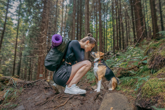Passeios que conectam: o segredo para tempo de qualidade real