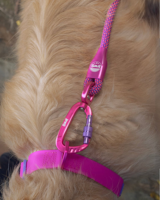 O segredo por trás da durabilidade e conforto da Guia Anjo® - Baut