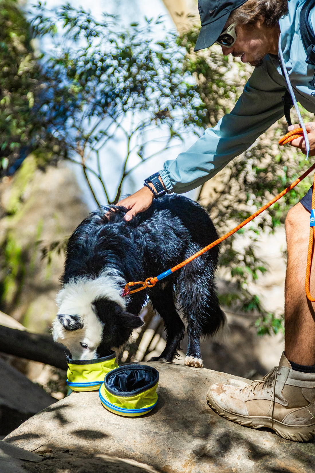 Vida ativa: o passo simples que transforma o seu cão - Baut