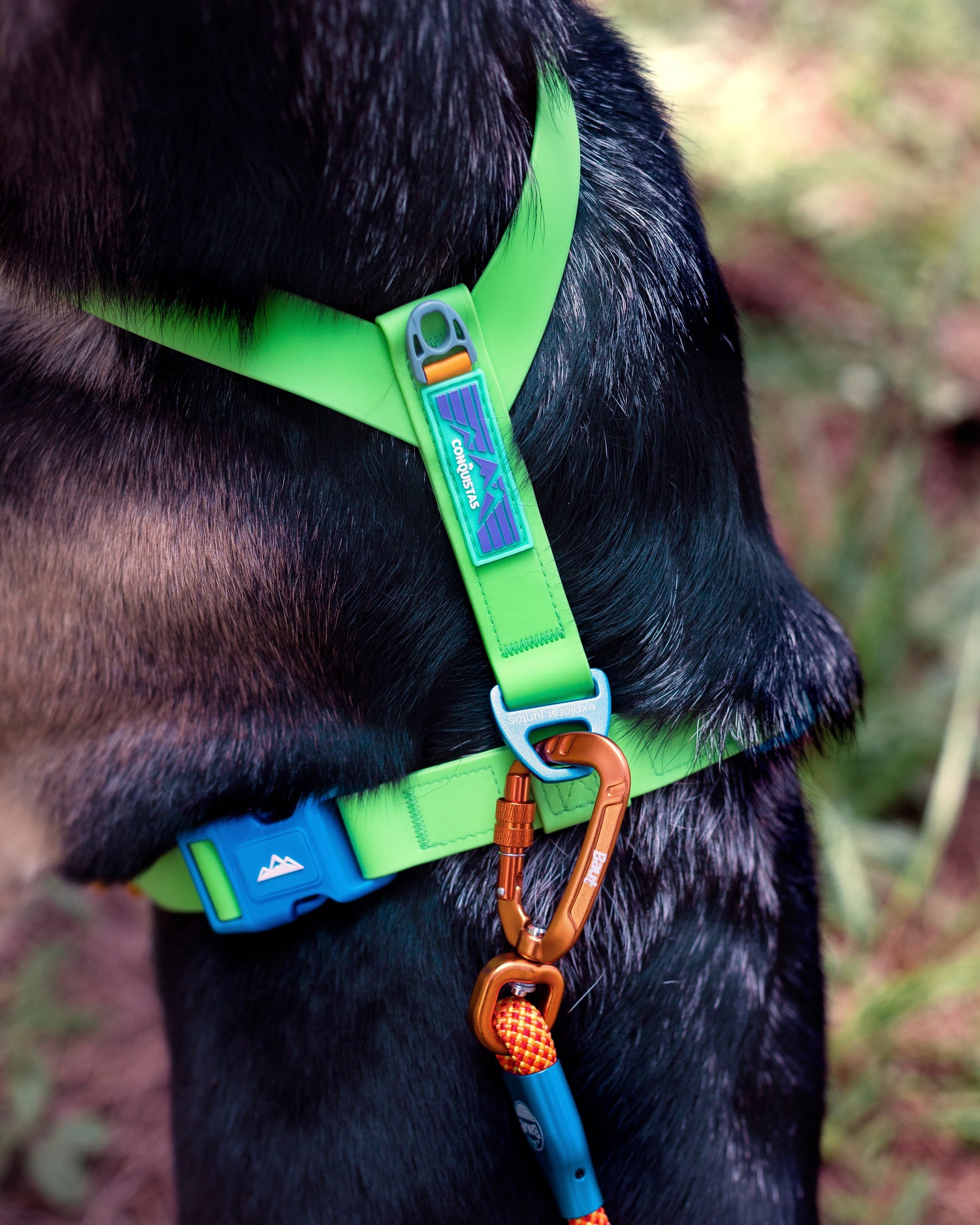 Peitoral Y Conquistas® - Baut