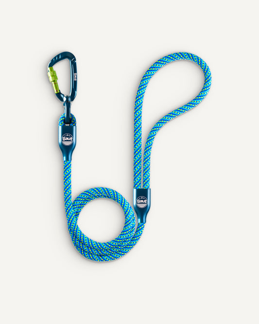 ANJO® Series 2.0 Happy Blue String Guide