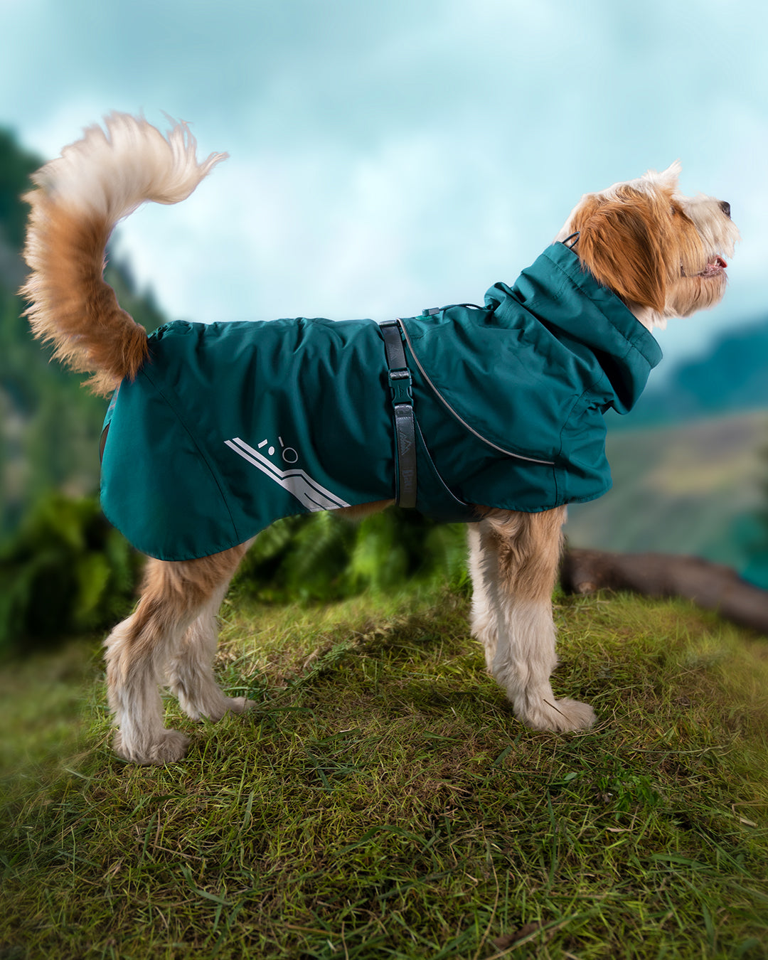 BEIJA-FLOR® raincoat and windbreaker.