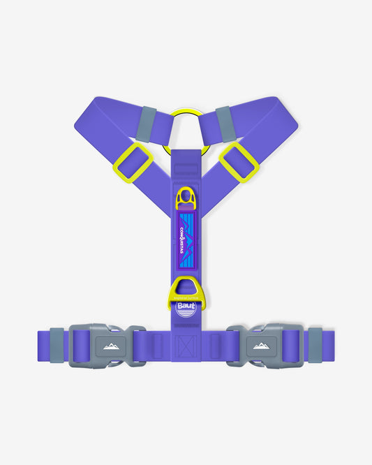 Y CONQUISTAS® chest harness series 2.0 Cosmo Purple