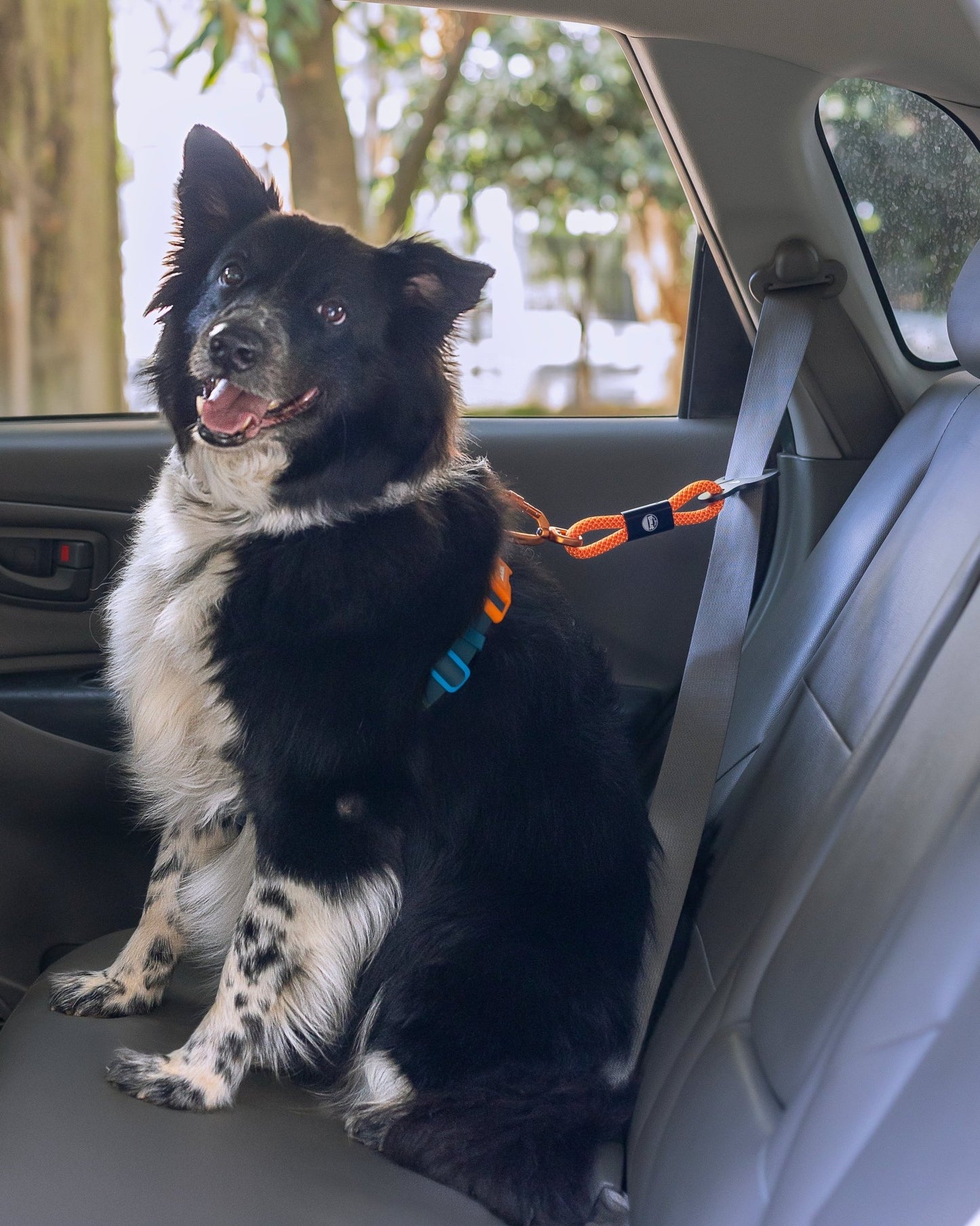 Cinto de Segurança ANJINHO® Special Yellow - Baut