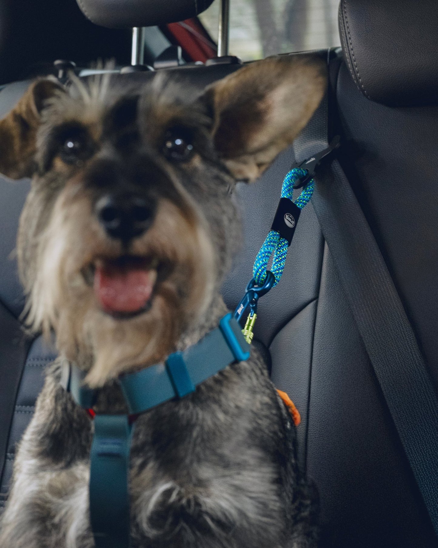 Cinto de Segurança ANJINHO® Special Yellow - Baut