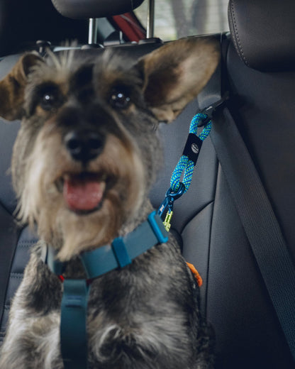 Cinto de Segurança ANJINHO® Special Yellow - Baut