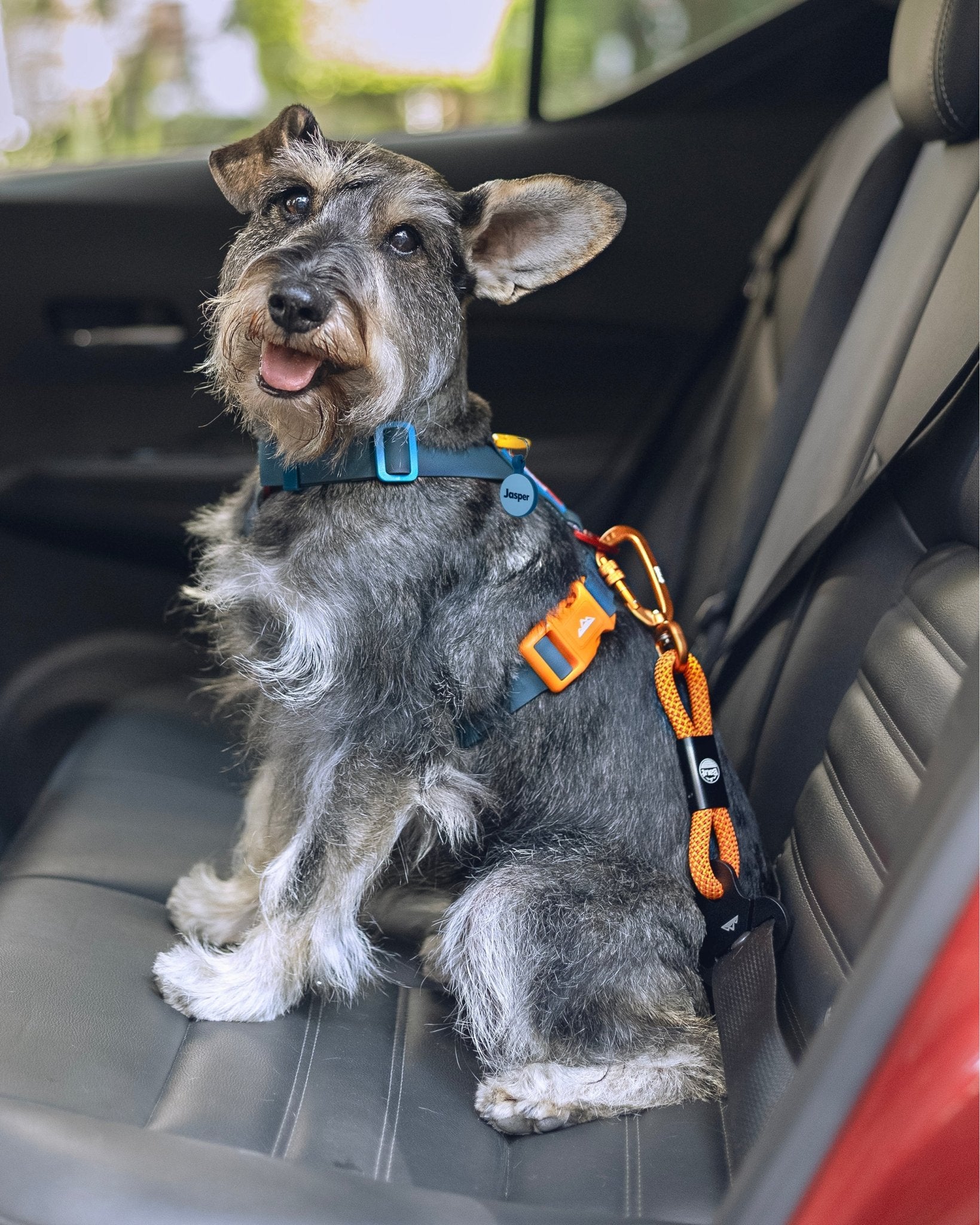 Cinto de Segurança ANJINHO® Special Yellow - Baut