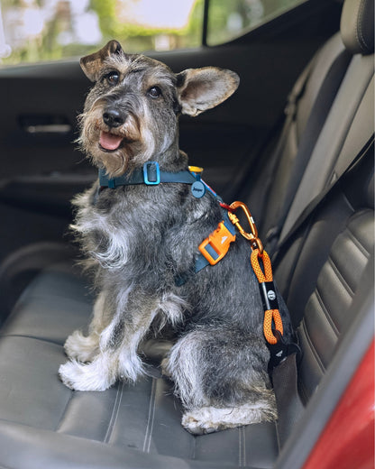 Cinto de Segurança ANJINHO® Special Yellow - Baut