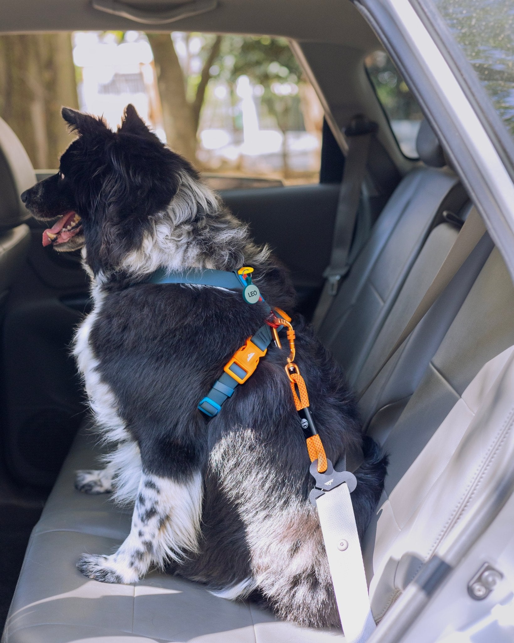 Cinto de Segurança ANJINHO® Special Yellow - Baut