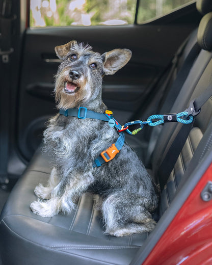 Cinto de Segurança ANJINHO® Special Yellow - Baut