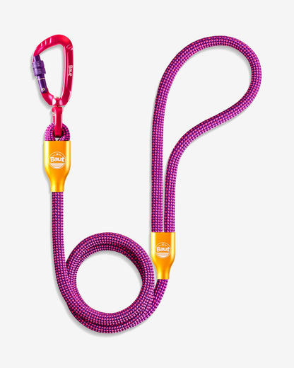 Guia de corda ANJO® Série 2.0 Bright Purple - Baut