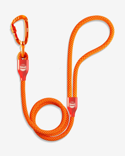 Guia de corda ANJO® Série 2.0 Power Orange - Baut