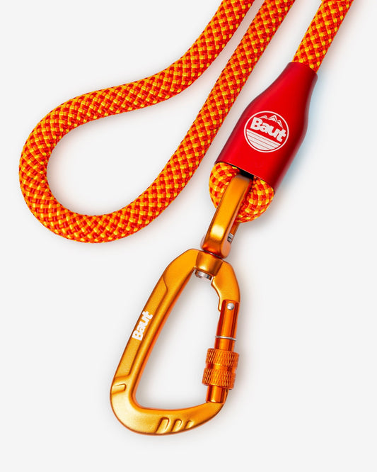 Guia de corda ANJO® Série 2.0 Power Orange - Baut