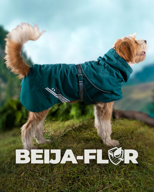 Capa de chuva para cachorros impermeável e respirável