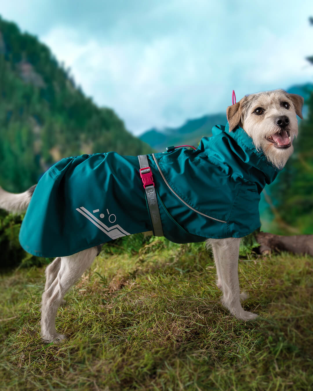 Capa de chuva para cachorros com ajuste do tórax